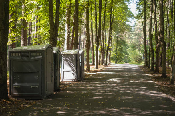 Affordable portable toilet rental in Springville, NY